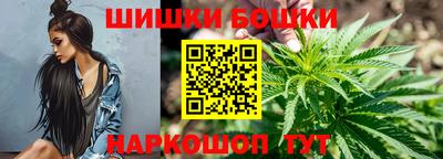 хмурый Гатчина