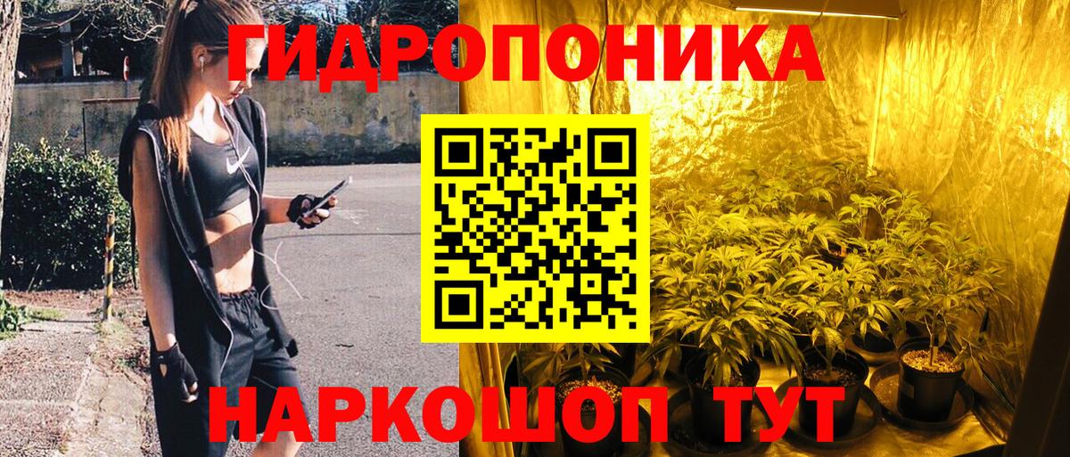 МАРИХУАНА White Widow Дербент